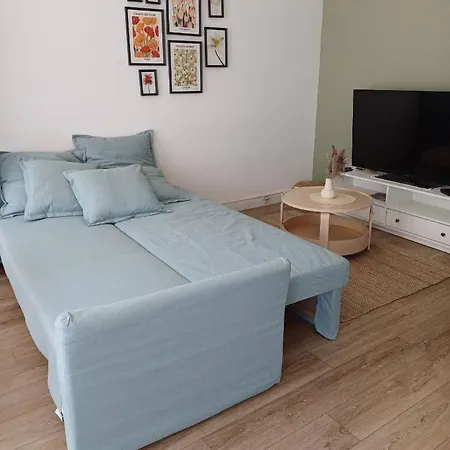 T2 Proche Tramway Et Plages